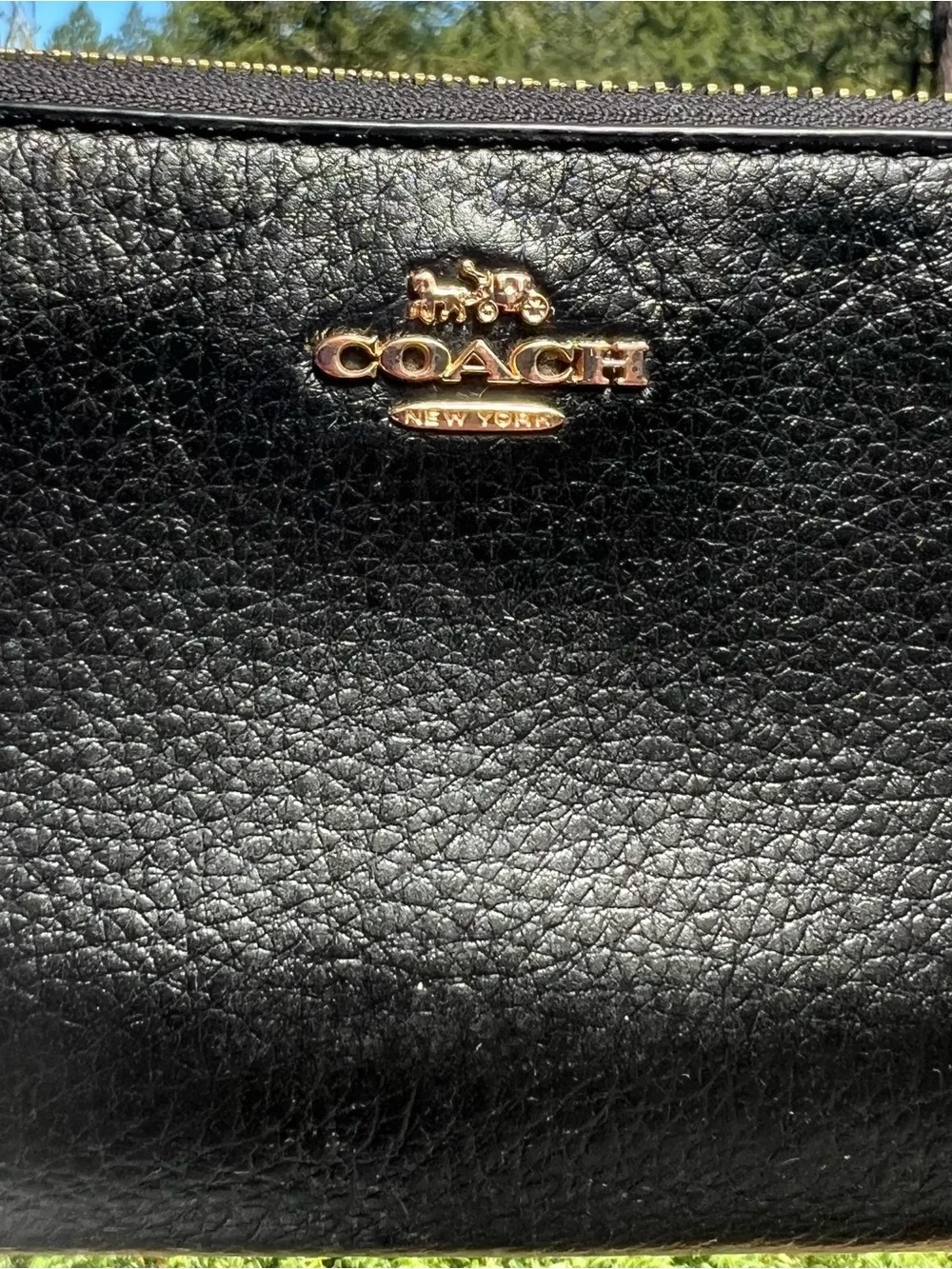 Coach accordion zip